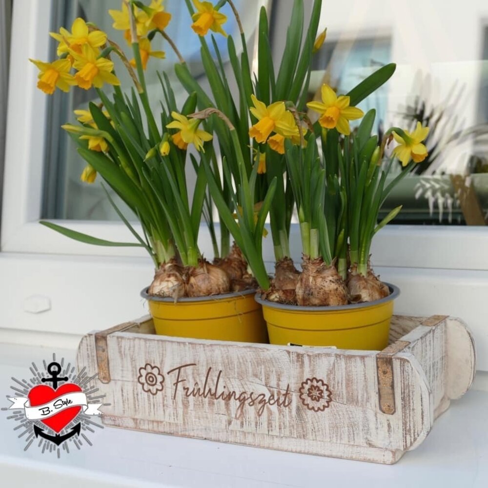 Plotterdatei 25 KERZENSPRÜCHE OSTERN UND FRÜHLING