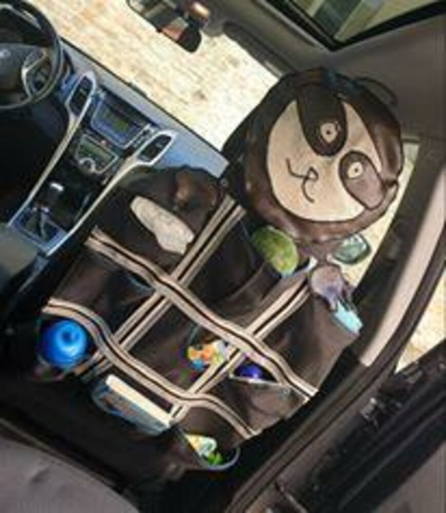 CAR IQ Kids Autositz Organizer