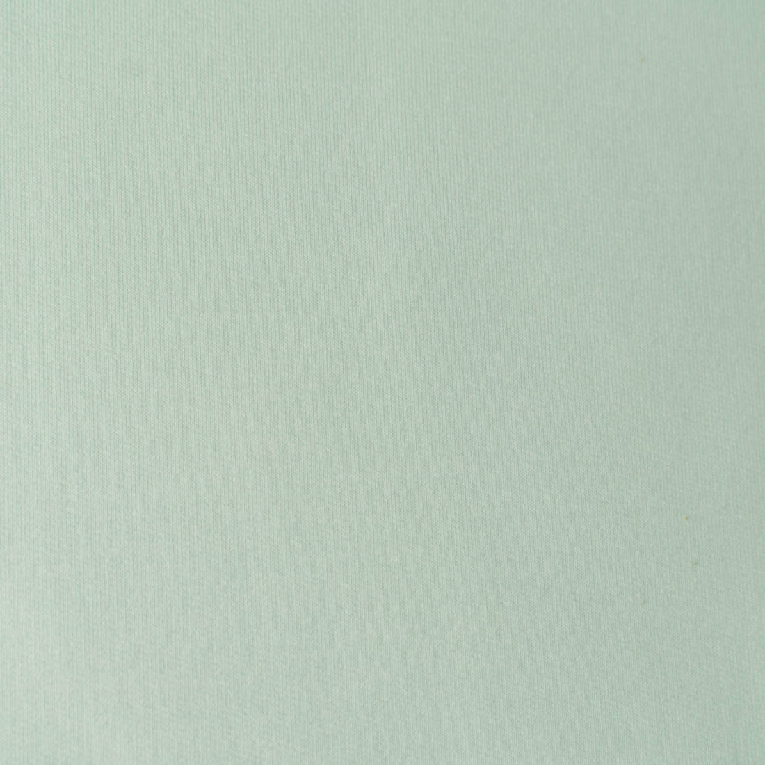 French Terry - mint
