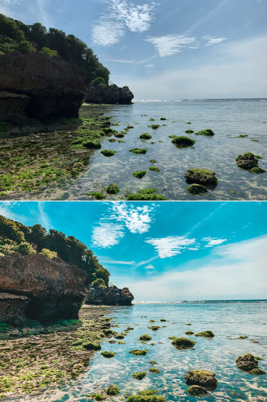 Pure Nature Before After 2