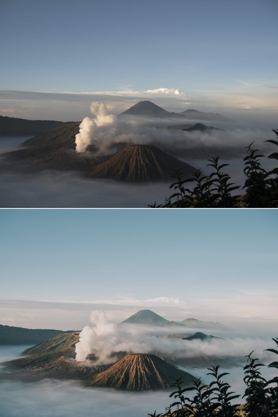 Pure Nature Before After 4