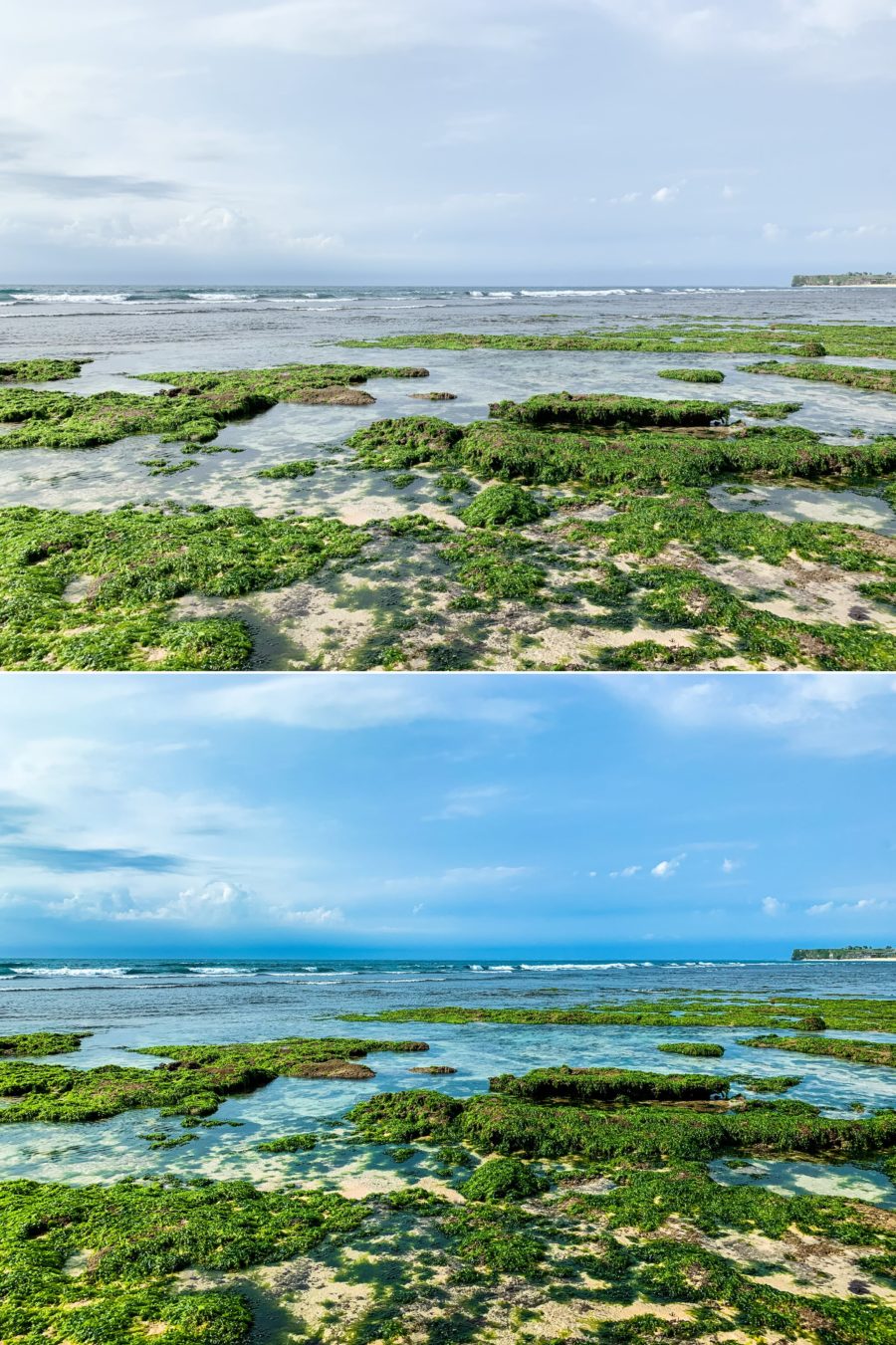 Pure Nature Before After 5