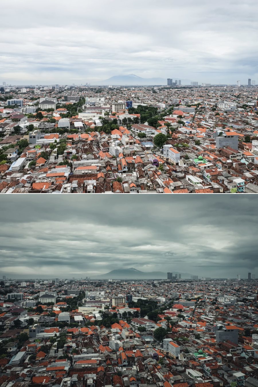 Pure Nature Before After 7