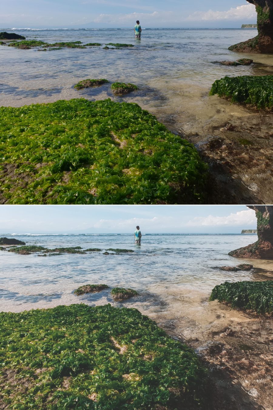 Pure Nature Before After 8