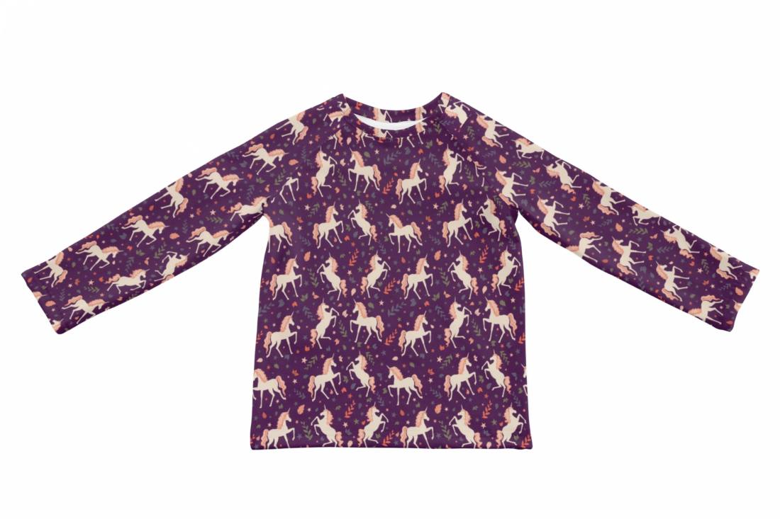 Raglanshirt_Klaas_350643